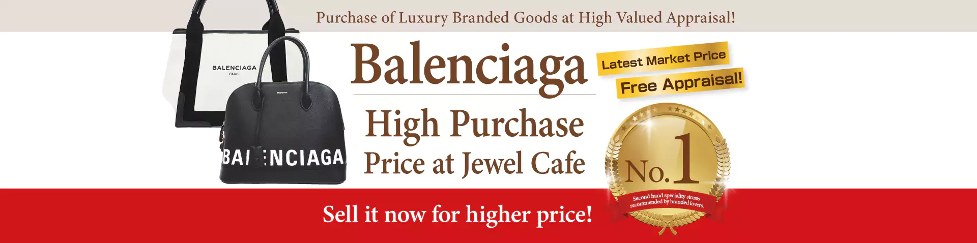 Purchase of Balenciaga handbag