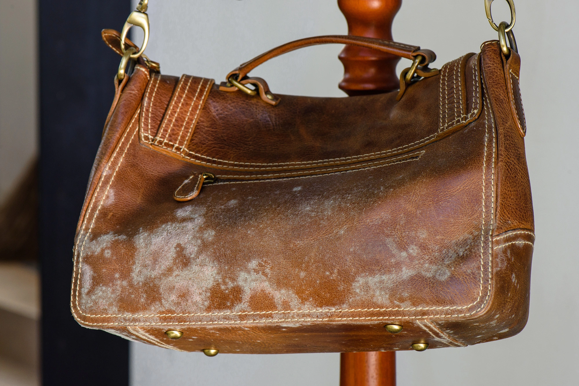 Mold handbag