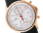 iwc